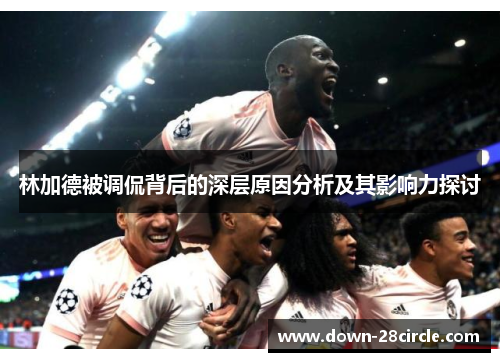 林加德被调侃背后的深层原因分析及其影响力探讨