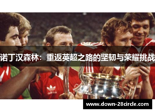 诺丁汉森林：重返英超之路的坚韧与荣耀挑战