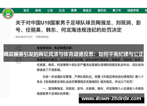 魏震禁赛引发的舆论风波与体育道德反思：如何平衡纪律与公正